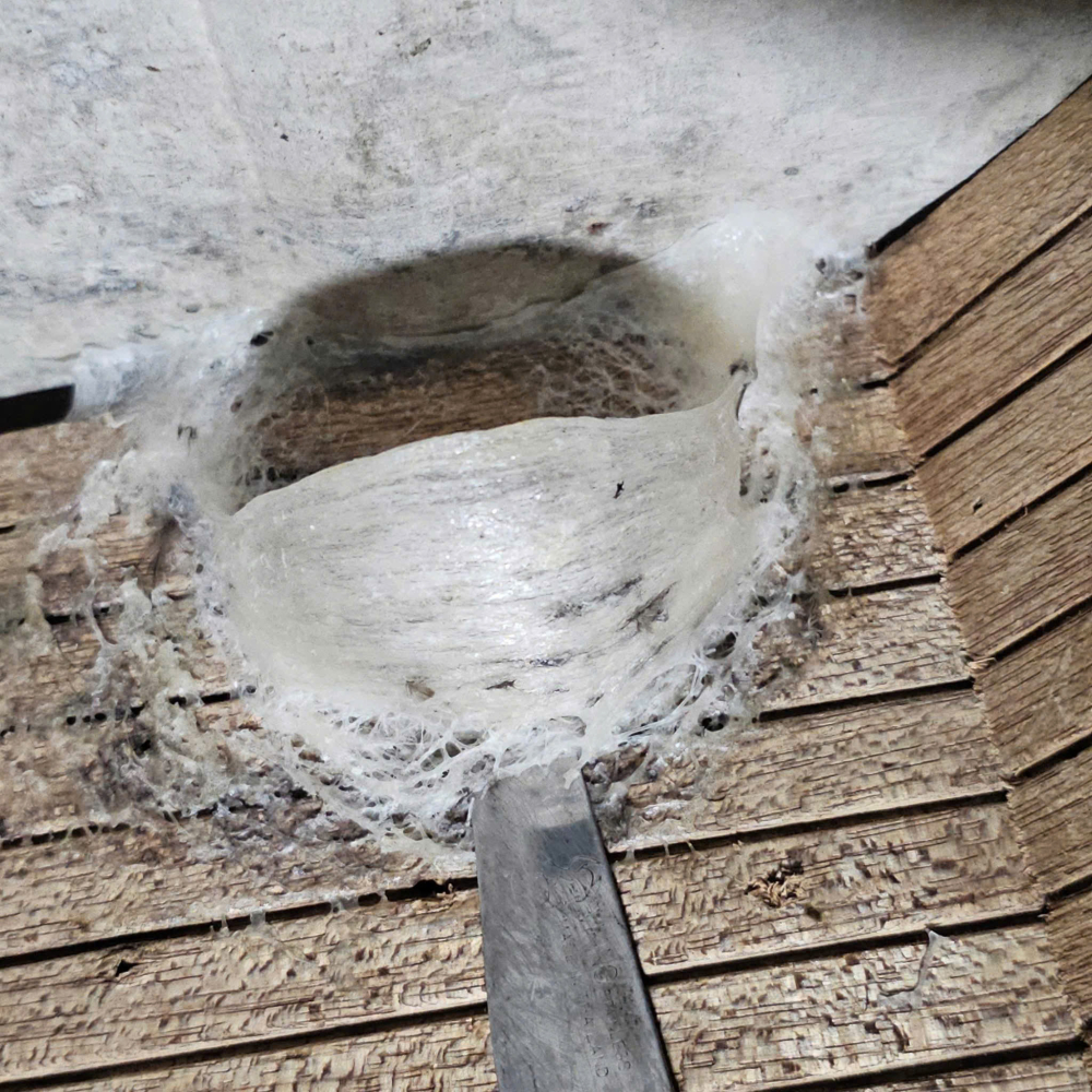 z7264173418956_ac07825dfbb20ca2bf868d55aed90282_0