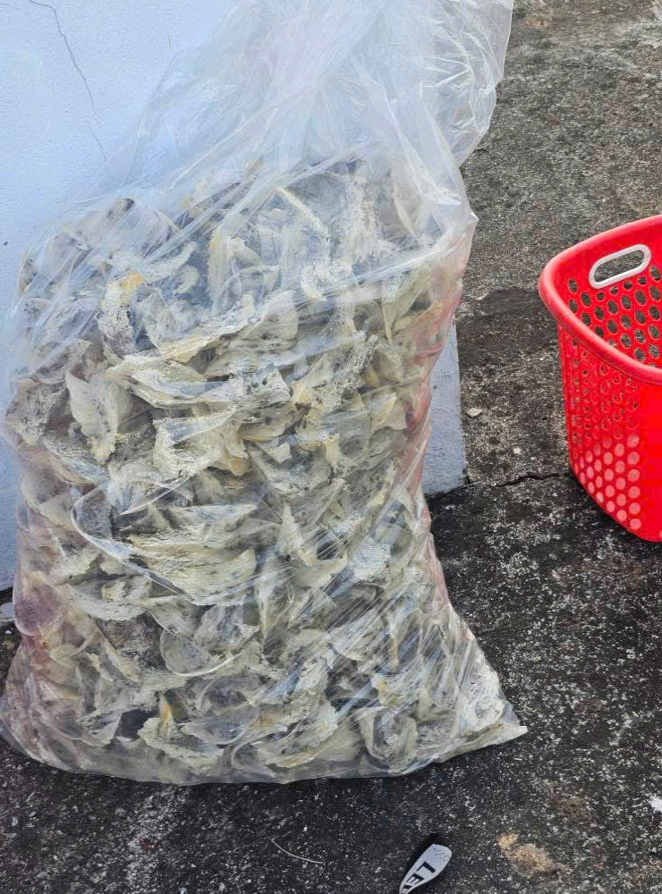 z7264173423852_920de7b9ce11c10cf1bad0f2bae219f0_0