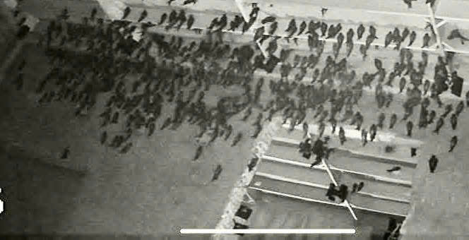 z7264173429642_f092bb41e2dfc34f47322488bef81842_0