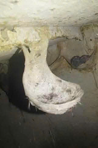 z7264173438299_0c96588c96da7ef0738262a556d0da5b_0