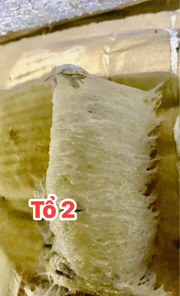 z7264173442390_1137b6f6f34dfb8a39b6c7515ce5e26d_0