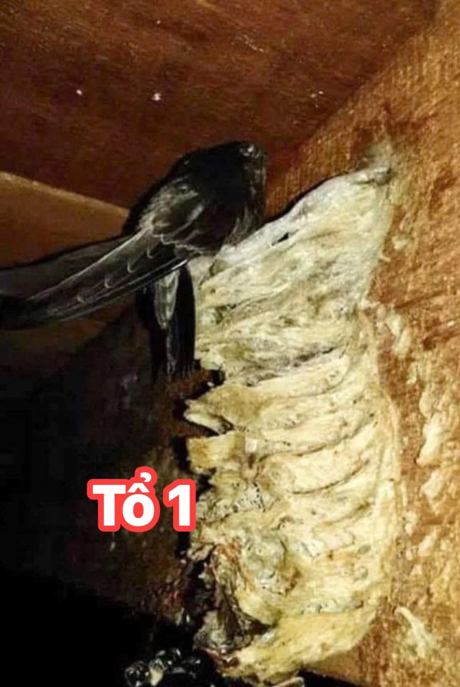 z7264173447339_7e5d1eb70f2e17b553bcaa51bf8ed913_0